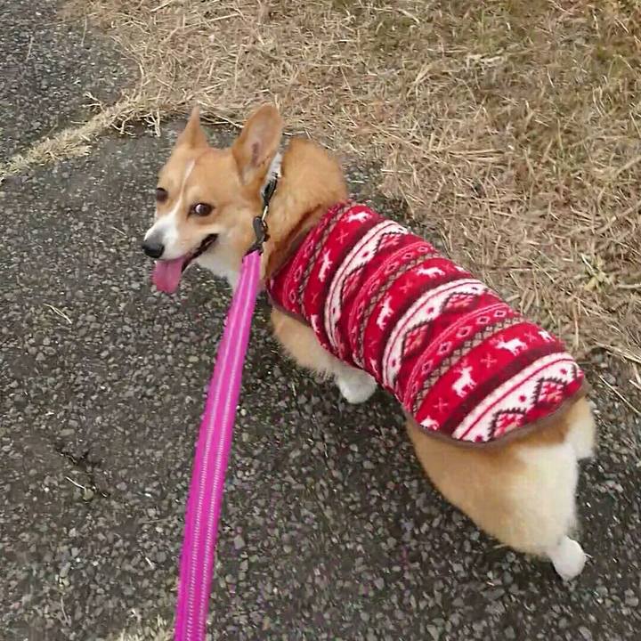 95d63db7 668a 4332 b4ca ed970056b6af 1517471086018