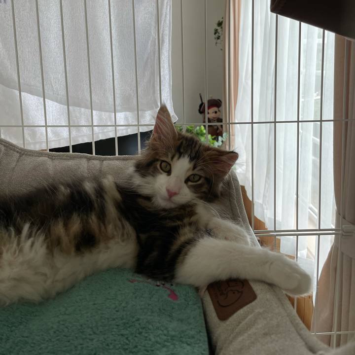 95d641c4 bf4d 4af7 9d8f a97554e9b1e6 1632359365632