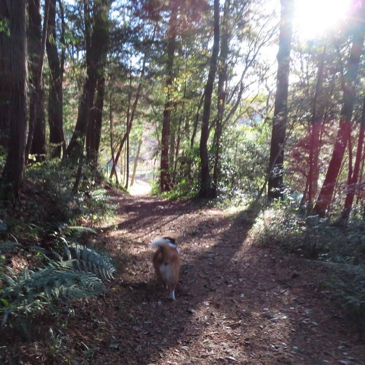 95d645e7 54a3 46c8 81d4 03e18e3b0450 1669641595636