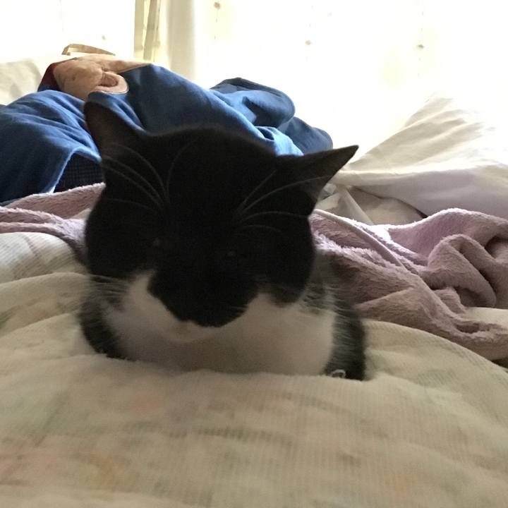 95d655a9 e6a7 4670 9dbf 6aaeba837f72 1514177797365