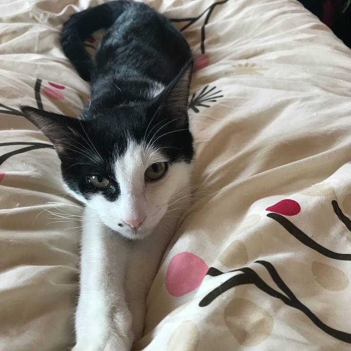 95d69ed4 9188 4c91 8b59 e1dfed9921f3 1514509165081