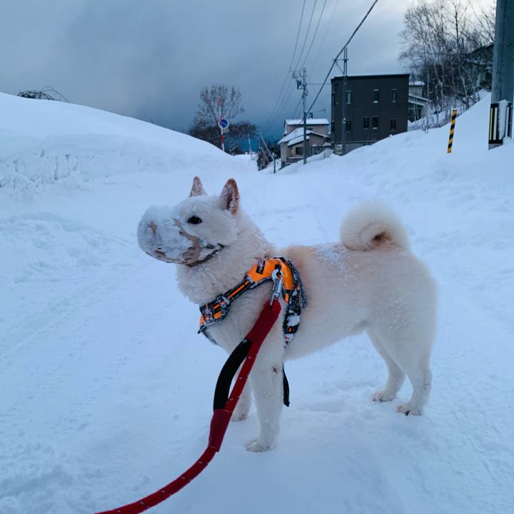 95d6d3b4 2f2c 4938 85f7 fe01304b3c15 1672783961249