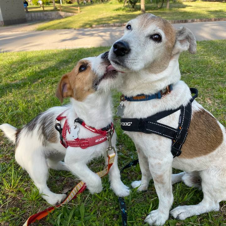 95d6e8ae 574f 4b5e 889d 3e34c79efcb5 1618046131947