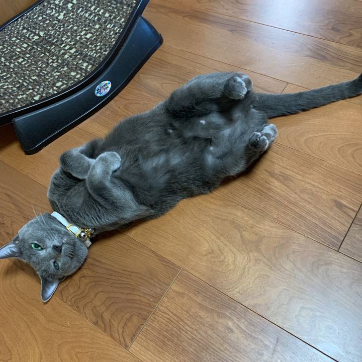 95d6efcd 11bc 43e0 9a37 0200887c14ce 1624436733769