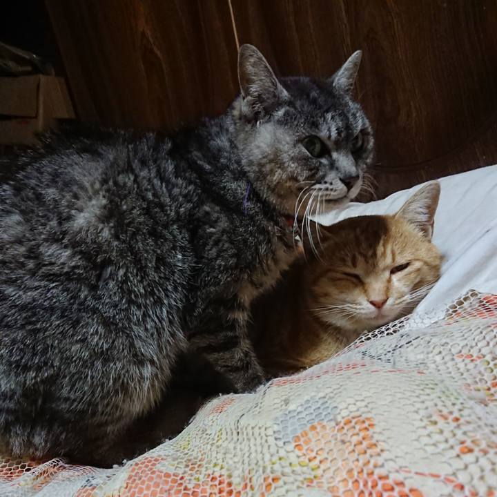 95d70353 cb39 4dba 8dd9 733e37251199 1584966045239