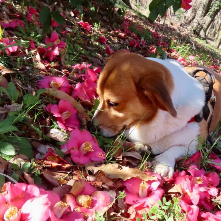 95d78671 9018 4a54 b839 e99f7317c915 1679271168317