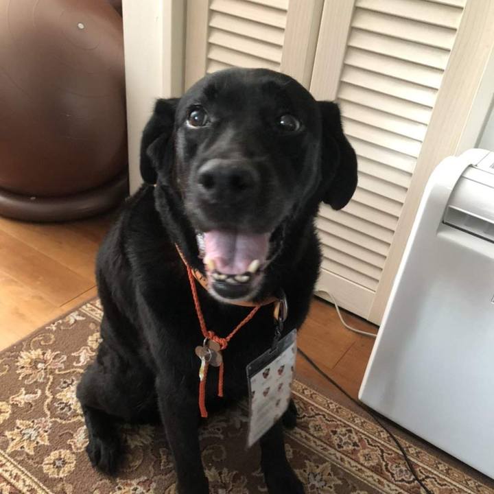 95d79318 3a30 4066 8a1b e4be8d8c4962 1707521647380