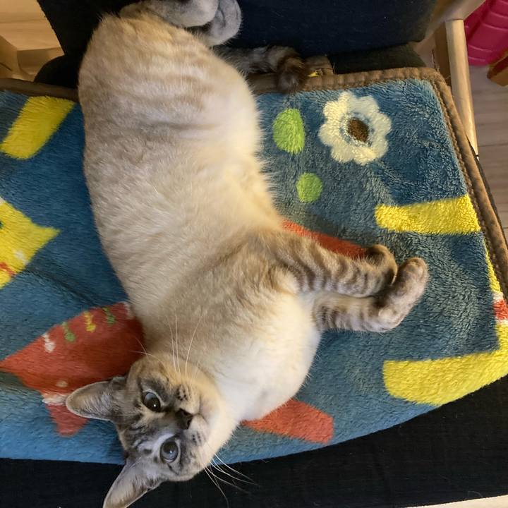 95d7b2db e50e 4afa b8d3 171993f95f63 1617361328581