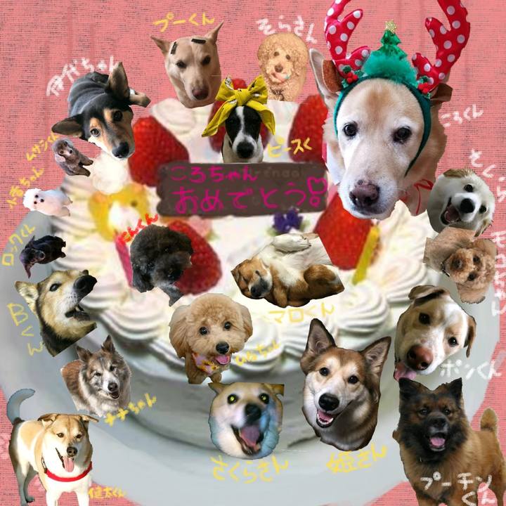 95d7d87c f435 4ff0 94e1 520baad7a5fe 1524754126823