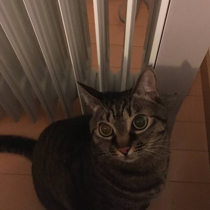 95d82ea0 2a64 4339 968f efc4f944b823 1545921949486