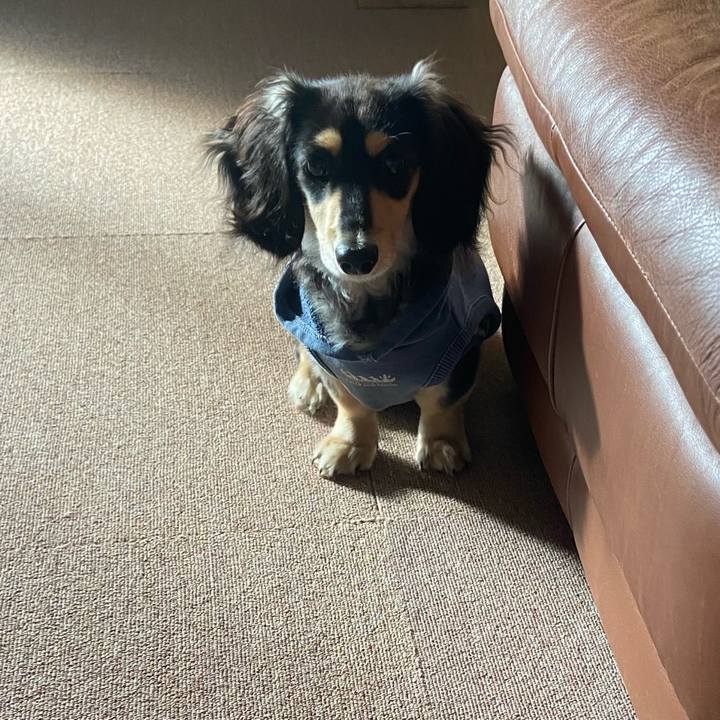 95d86335 c5f8 412d bd83 e6c92353bebd 1673998769883