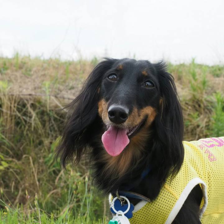 95d886c1 d1d2 4e45 9811 f8fd5857a952 1529240721488