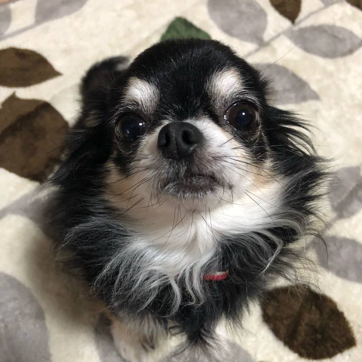 95d894eb f6ac 4b24 bc89 e040f6c2abc7 1524389187388