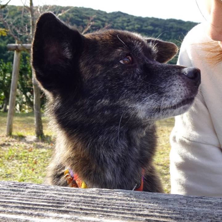 95d89d10 79f4 4560 a96a 7f206ebcd498 1575722453603