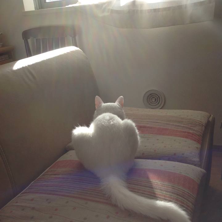 95d8b19d b6fb 42c3 b377 a8cf4cb35996 1635918615708