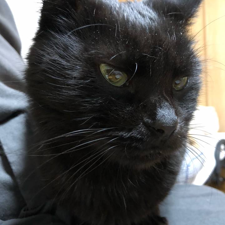 95d8bd55 d1b8 4491 9fa0 0aad96152592 1607068012038