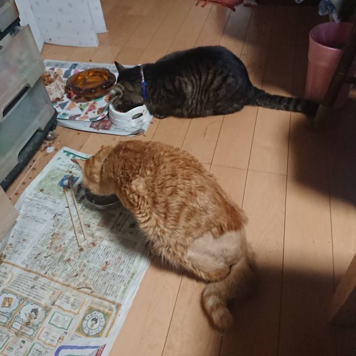 95d8f26c 3b51 4214 9102 26436b00a4e7 1654728318872