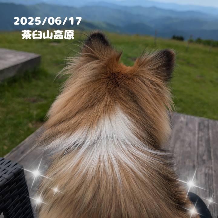 95d96258 bd8b 45d9 b75a cf04ab274a9f 1750133293851