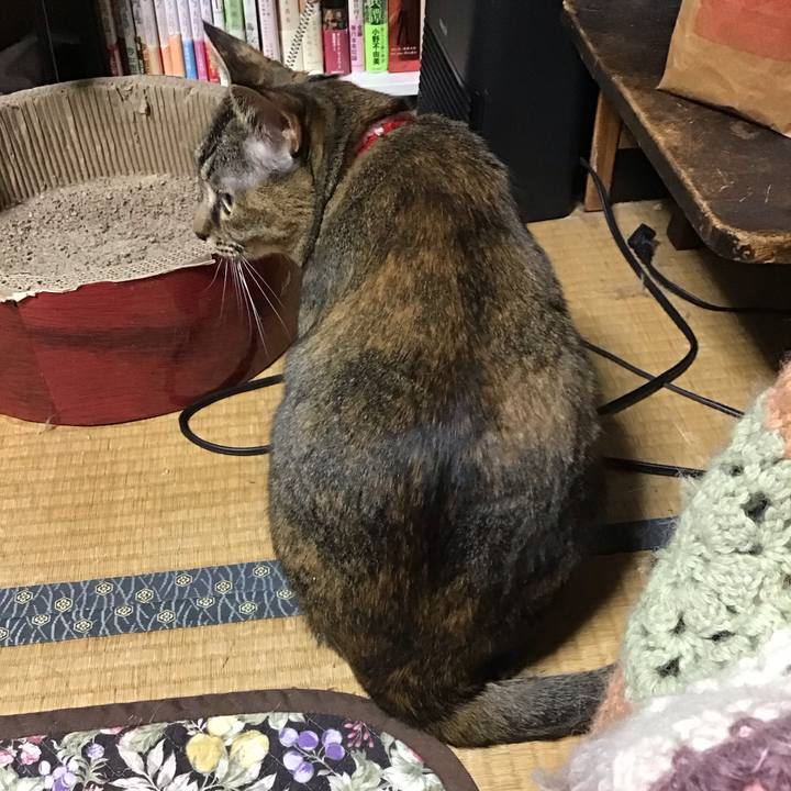 95d9673d 80f2 40df 82f0 54e40db6ff58 1683553930667