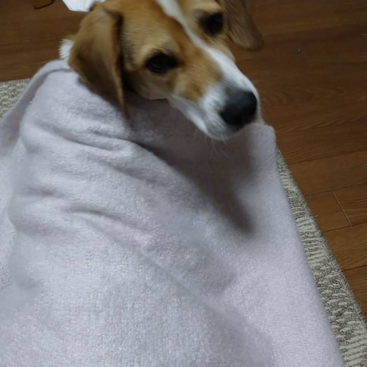 95da1867 5f82 476d 94b0 85237668c6fa 1608104176302