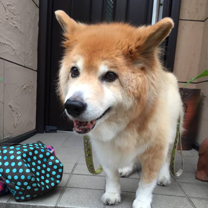 95dabf59 0ef4 44fe a8b4 edb0812b1bf8 1640942763973