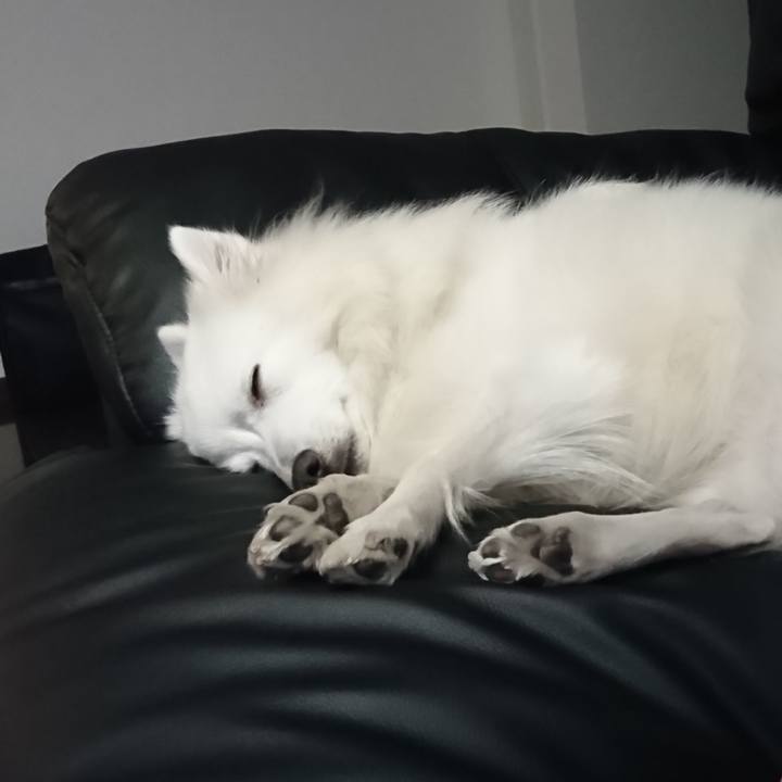 95dade0a 2e27 4b0d 8358 fd4f1b2c0fe4 1548853487213