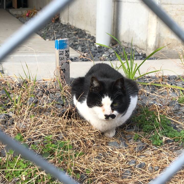 95db00ab 0ad6 4813 bf98 061499467c22 1583135546806