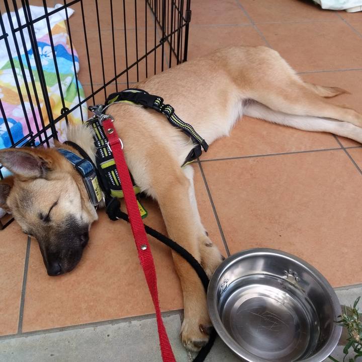 95db29e8 8713 4a76 bc71 c782c756fe6f 1560666260138