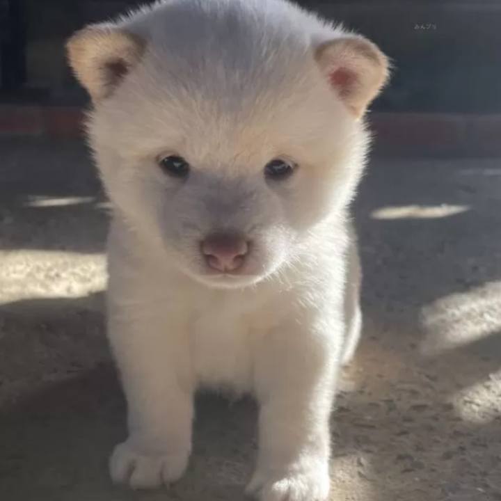 95db2c2f 6c5e 4dd0 9b82 5944276ef8f9 1717979948139