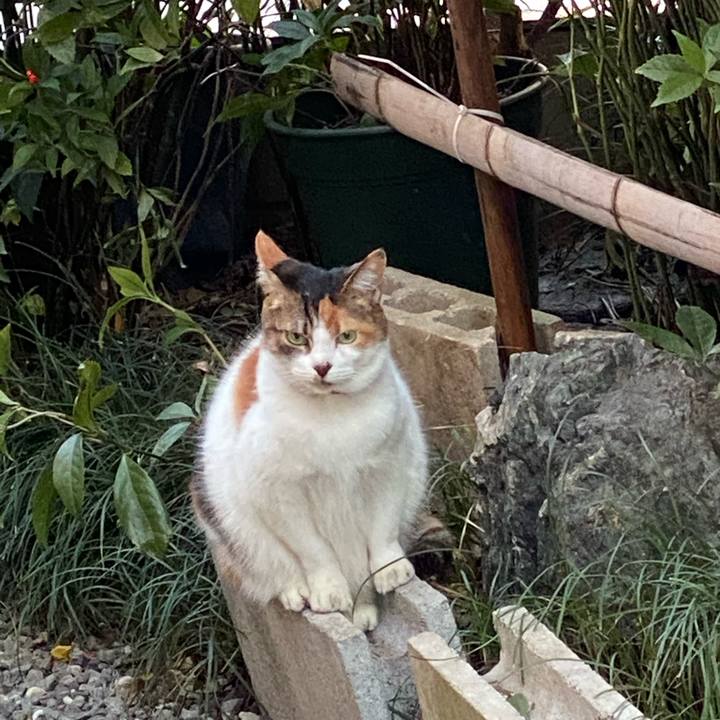 95db3bd4 74a0 44c6 96f0 d0c371a6ff8f 1609485656755