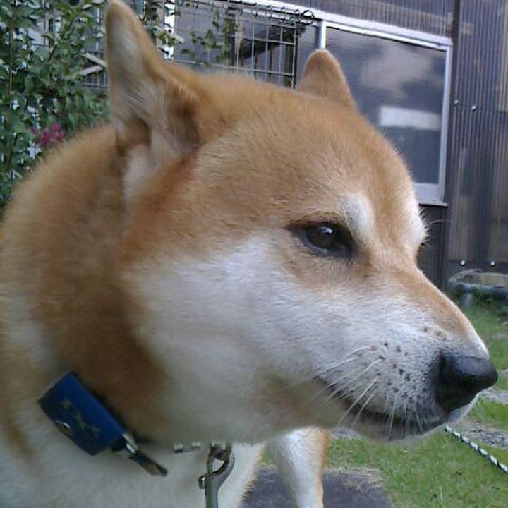 95db49f2 3d0d 4baf b87e 6e2e67e53c8b 1570260944642