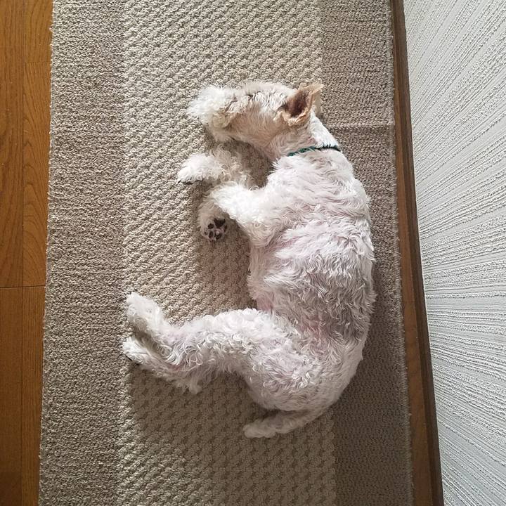 95db6d2c 0035 4c82 accc 58aa4a570733 1529817404265