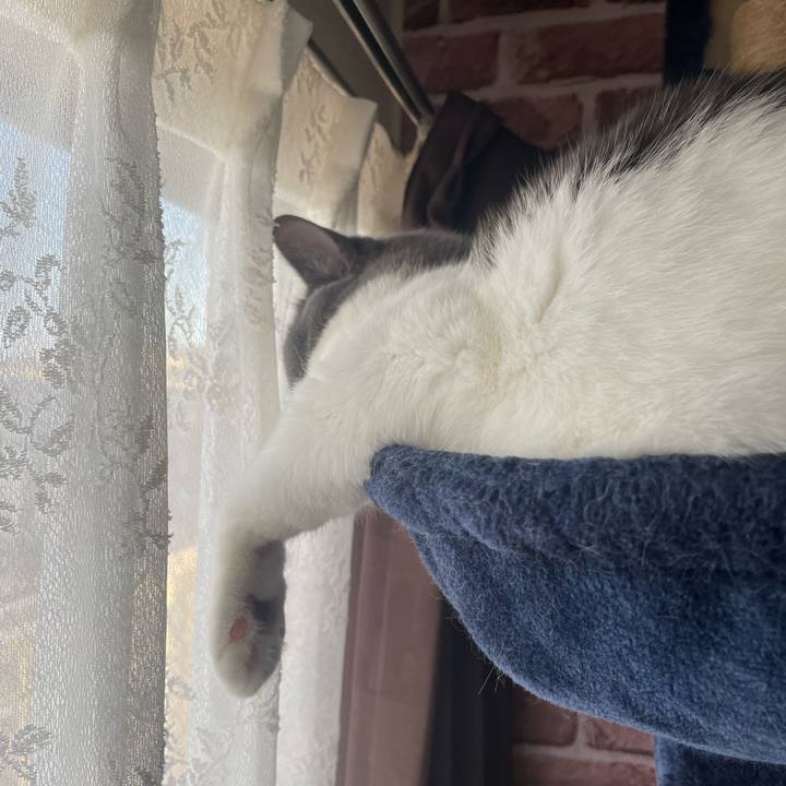 95db8ad9 d551 4f11 b62f 9b8efe01d4c1 1696195849614