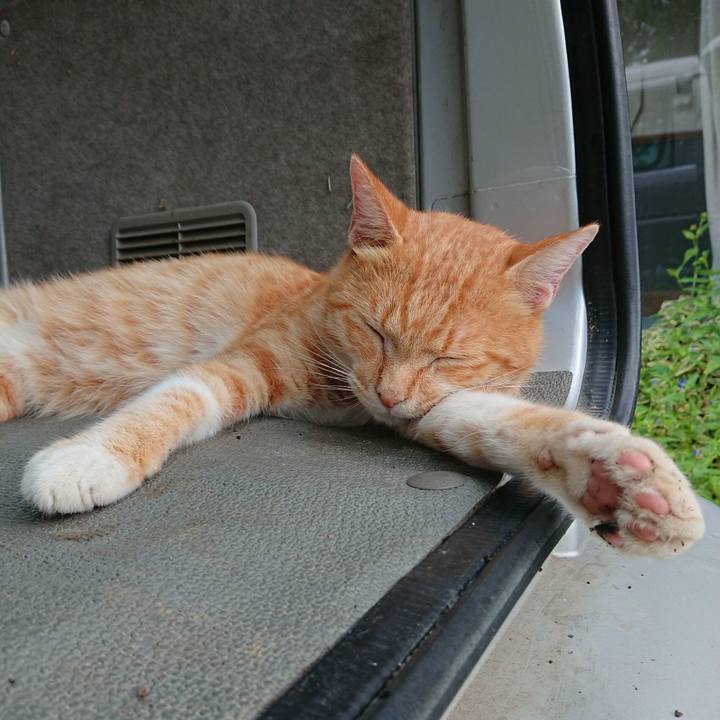 95dba4ef f534 47d8 805b 90be4d193d32 1566248100404