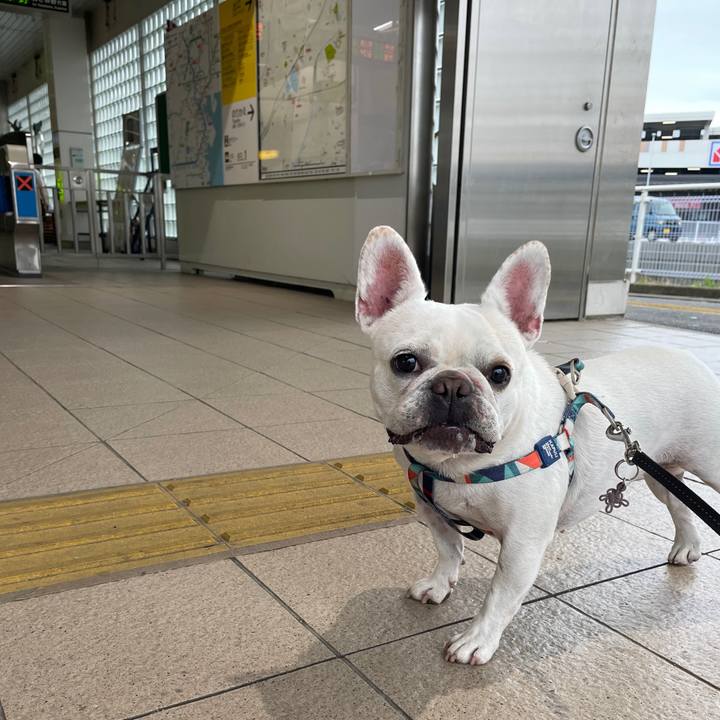 95dbb509 501d 4297 b944 661b4cf161be 1731452261319