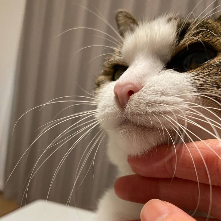 95dc1126 7cd6 4f55 8e69 562547a7e1e0 1581938058697