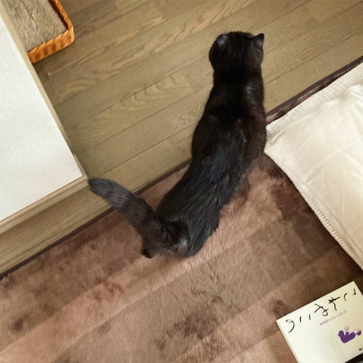 95dc13c8 1838 4731 aff2 93d65d5e9172 1593088646376