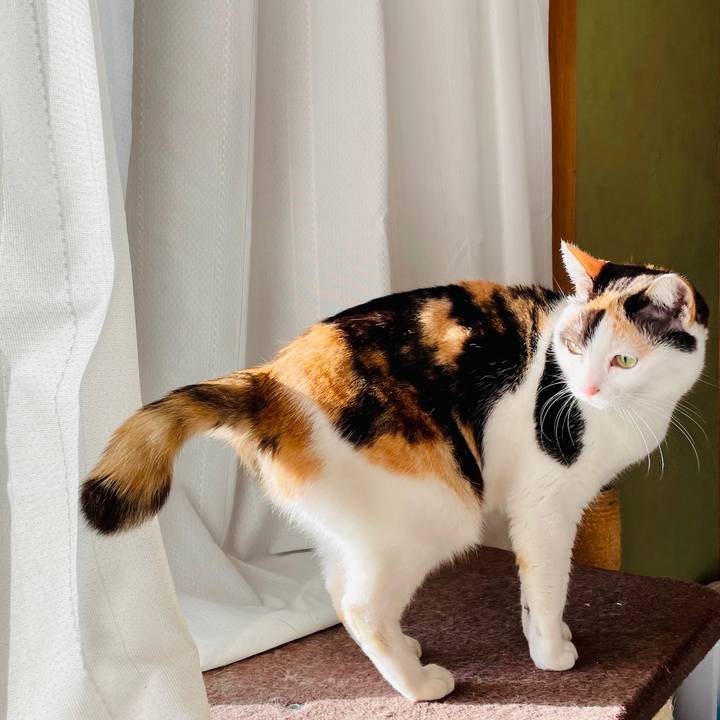 95dc3020 823e 4fab 8539 b864dec600d5 1614735483892