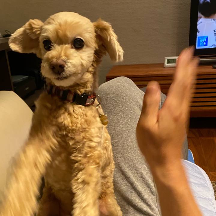 95dc37b9 e705 4d02 9fe2 ac4a23497e43 1664091350201