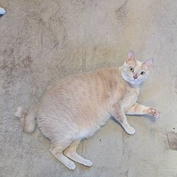 95dc7344 b8b7 46c1 9523 3f96f2d4bae3 1763506204178