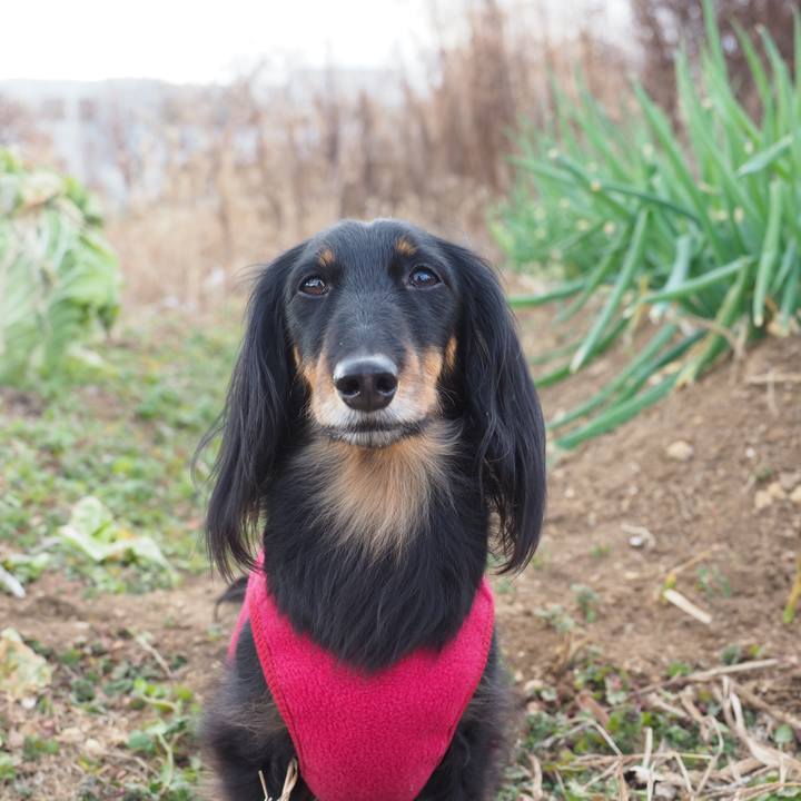 95dc9904 1c23 47fc a01c 1c041d68b8f8 1611205235461