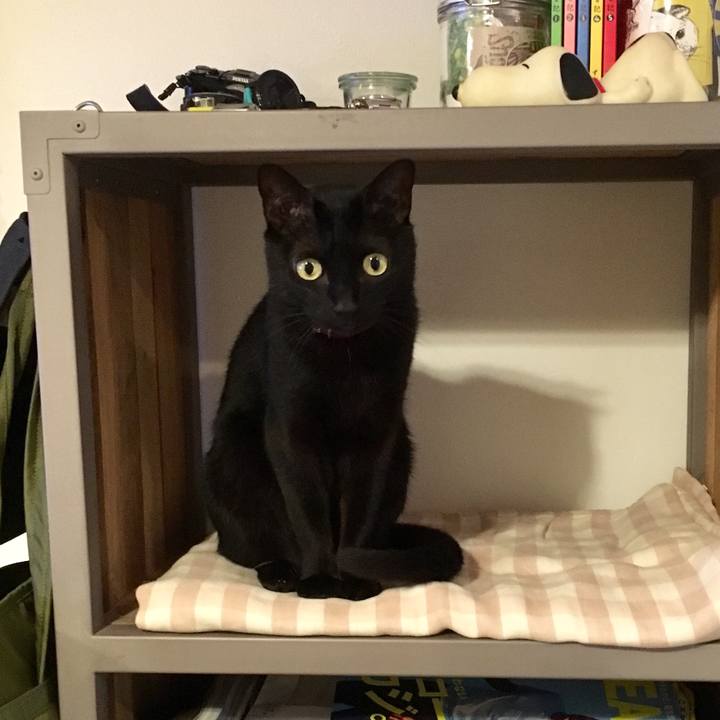 95dca9dc b639 4652 a3fb ad23e9e24a53 1562153551490