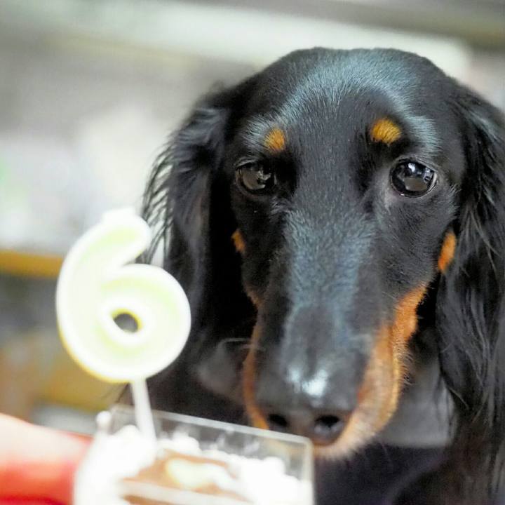 95dcd46d 358a 4fbe a29f bd625787d010 1583128578816