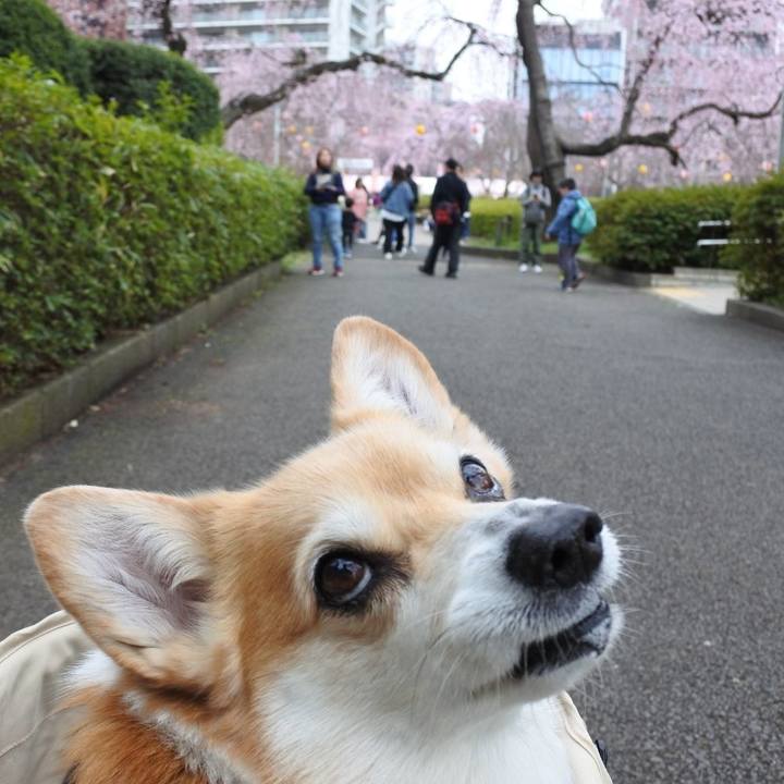 95dcdf5e b522 41f3 9a73 9266509f9826 1775308264990