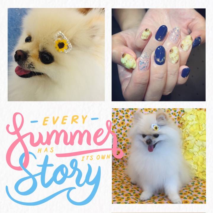 95dd8ac1 6efe 44a9 bb60 529f0fca6a52 1596973139153