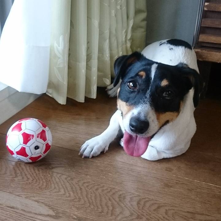 95dd9f4b e655 4feb b185 1b4b664d85e6 1558428787127