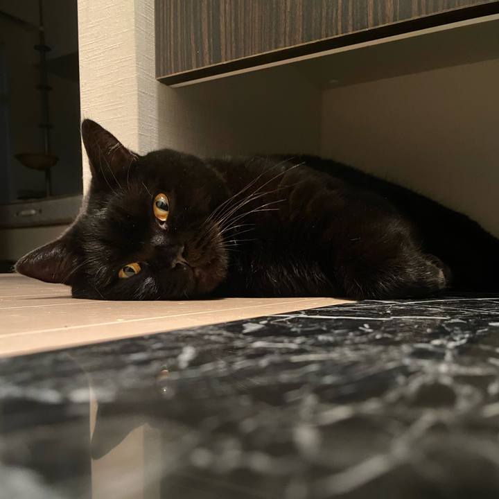 95dda915 5557 4fff b6f9 7c6a69f0d22b 1728654911489