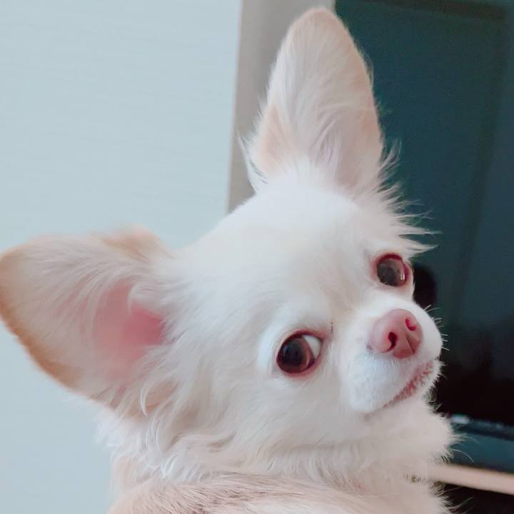 95ddf0d4 45b7 4392 bb7f 44538e024fd8 1701416704392