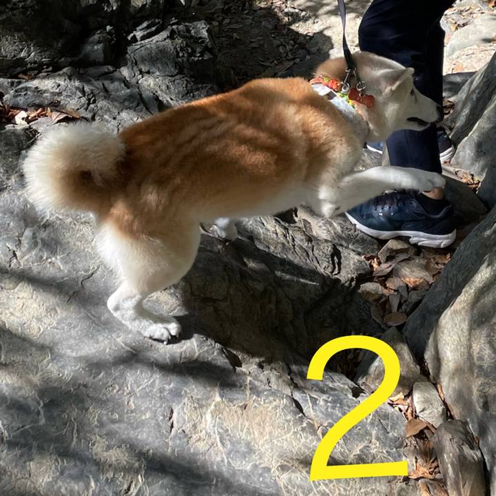 95ddfde8 3b81 4e17 bf28 ee990331b7c3 1633211213769