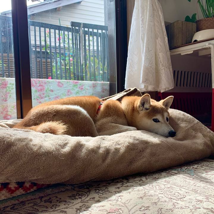 95de1637 5a6d 4594 81fb 75721fb7fbc4 1669801695994